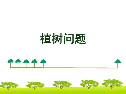 《植树问题》课件