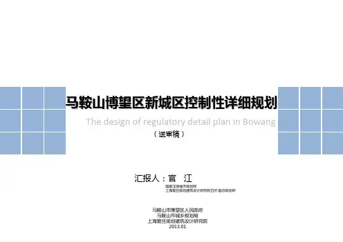 01马鞍山博望区新城区控制性详细规划2013.2...