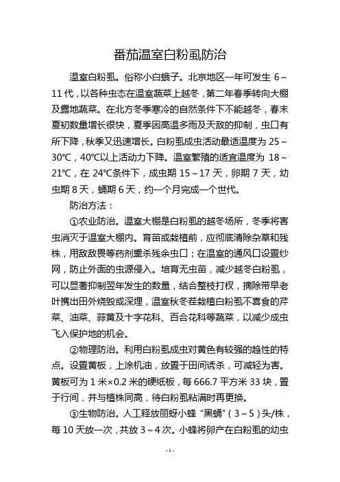 番茄温室白粉虱防治