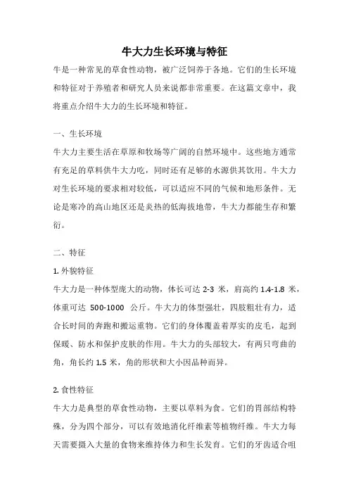 牛大力生长环境与特征