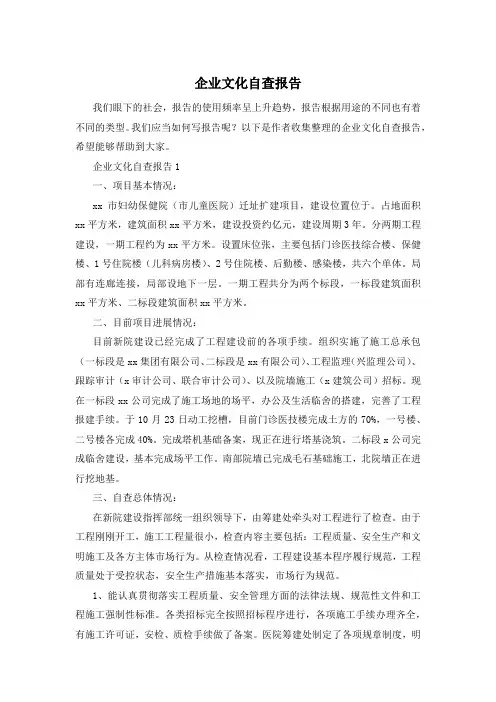 企业文化自查报告