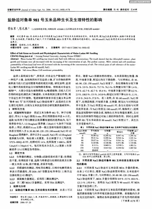 盐胁迫对鲁单981号玉米品种生长及生理特性的影响