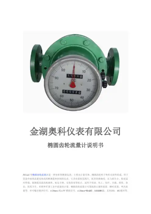 金湖奥科仪表有限公司