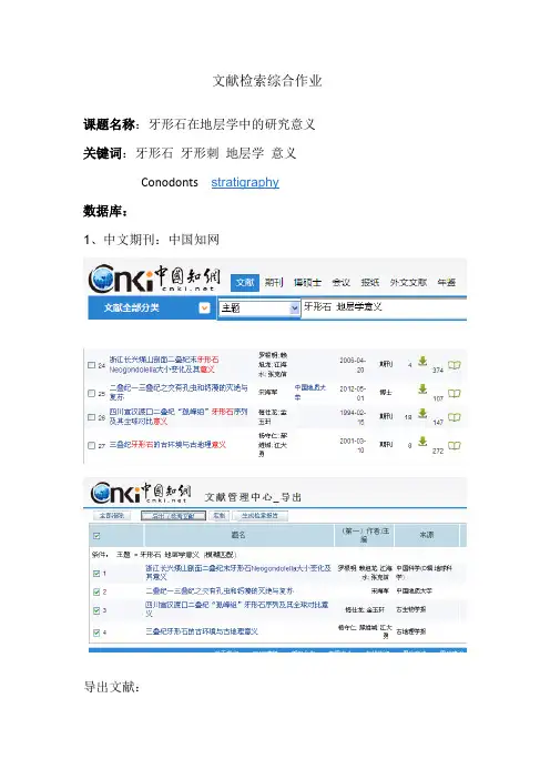 文献检索综合作业