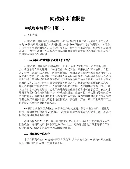 向政府申请报告