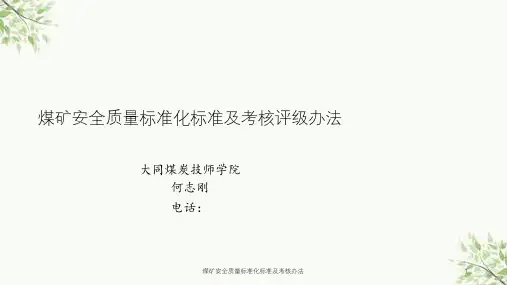 煤矿安全质量标准化标准及考核办法课件