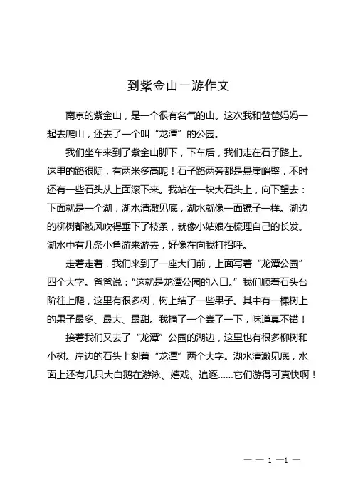 到紫金山一游作文