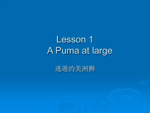 新概念3册第一课PPT