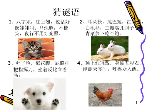 小学四年级作文――我喜欢的小动物(1)PPT课件