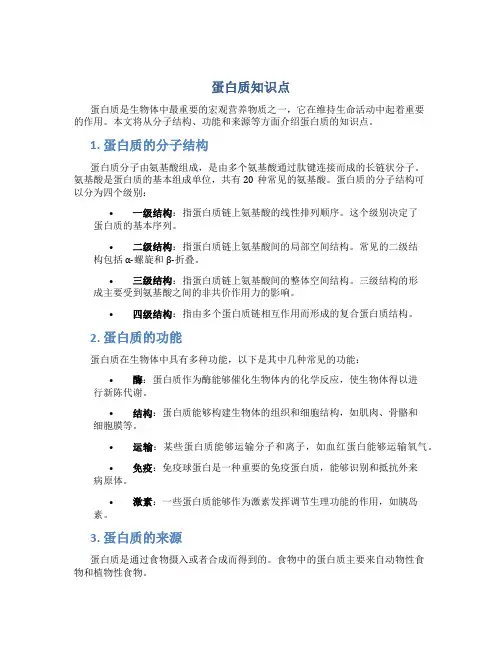 蛋白质知识点