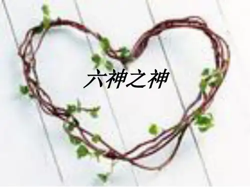 六神花露水市场分析ppt课件
