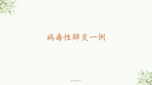病毒性肺炎 最新课件