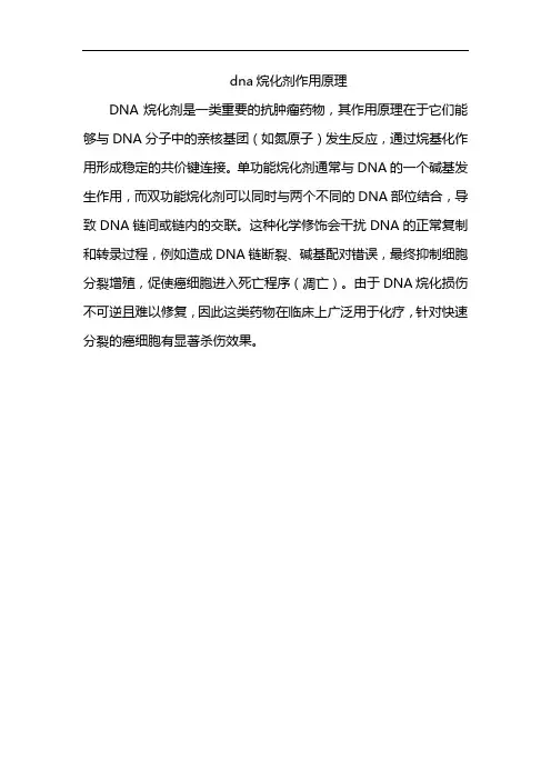 dna烷化剂作用原理