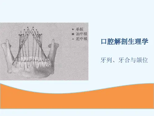口腔解剖生理学---牙列、牙合与颌位
