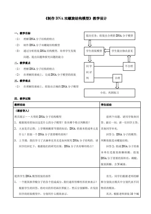 高二生物《制作DNA双螺旋结构模型》教学设计