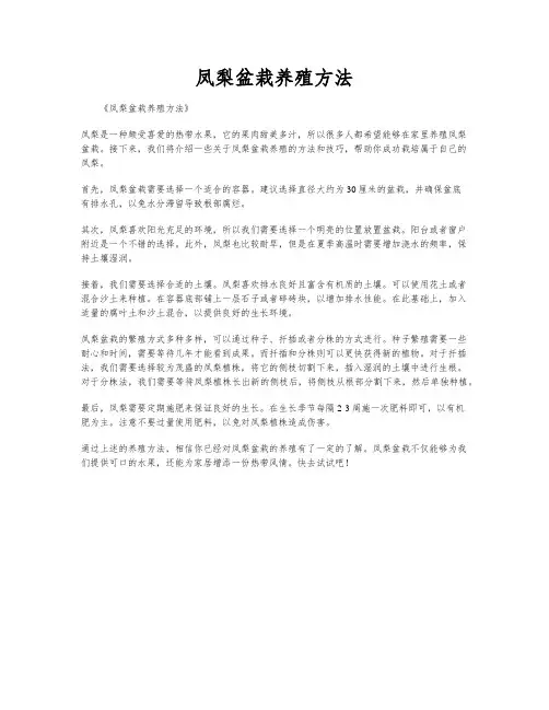 凤梨盆栽养殖方法