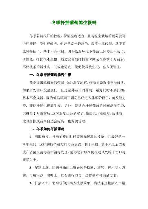 冬季扦插葡萄能生根吗
