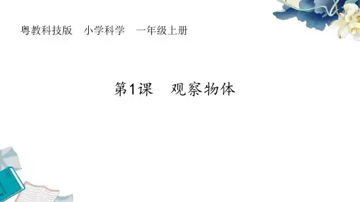 2024新粤教版一上科学第一单元《1. 观察物体》教学课件