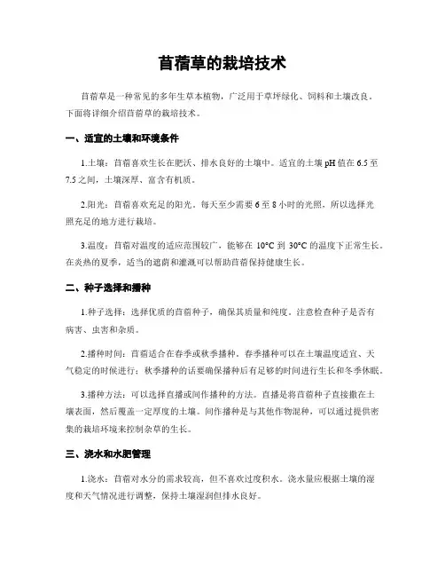 苜蓿草的栽培技术