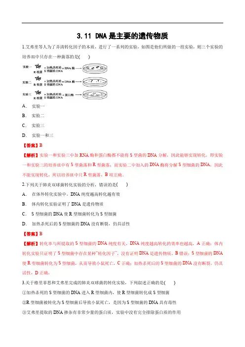 高中生物第二册  3 11 DNA是主要的遗传物质 练习(含答案)