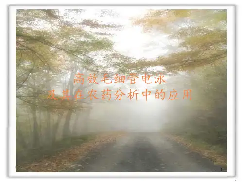 农药合成与分析ppt课件