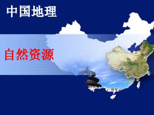 中国的自然资源(19年)