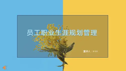 简约风员工职业生涯规划PPT