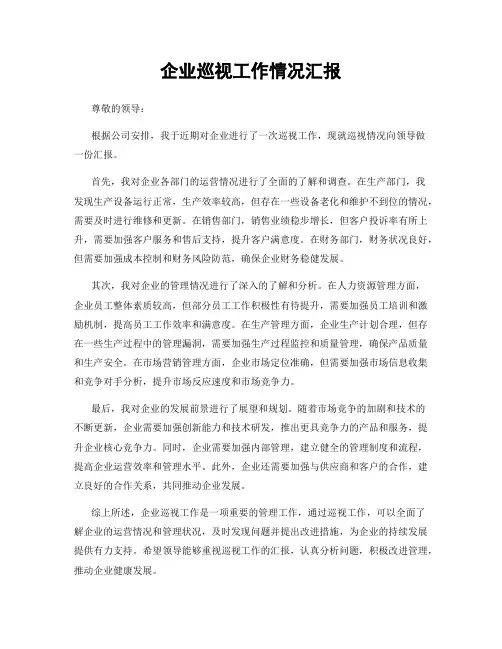 企业巡视工作情况汇报