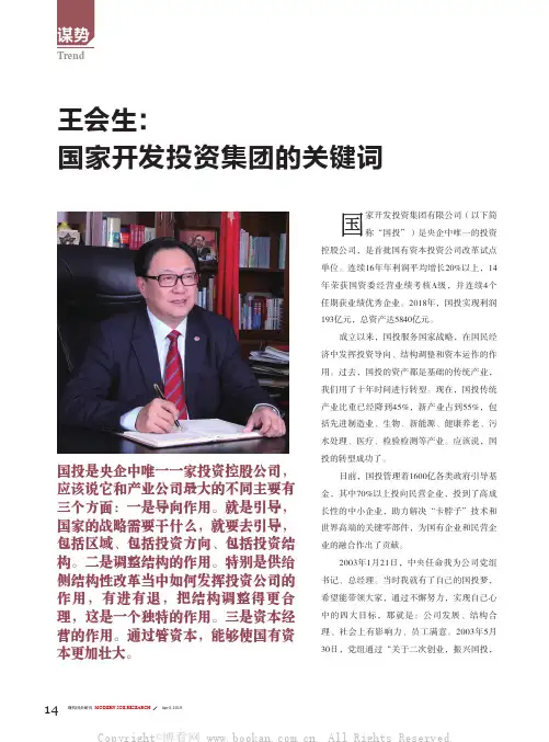 国家开发投资集团的关键词