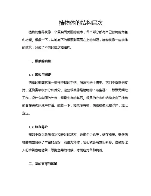 植物体的结构层次