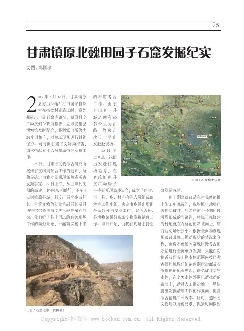 甘肃镇原北魏田园子石窟发掘纪实