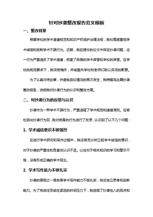 针对抄袭整改报告范文模板