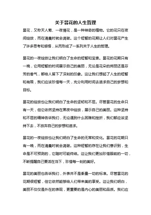 关于昙花的人生哲理