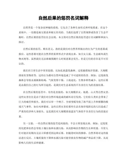 自然后果的惩罚名词解释