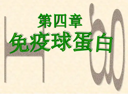 第4章 免疫球蛋白