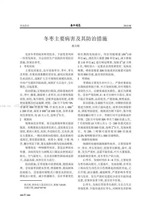 冬枣主要病害及其防治措施