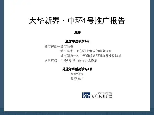 上海大华集团大华新界中环1号推广报告66PPT.pptx