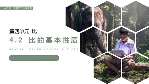 《比的基本性质》PPT课件