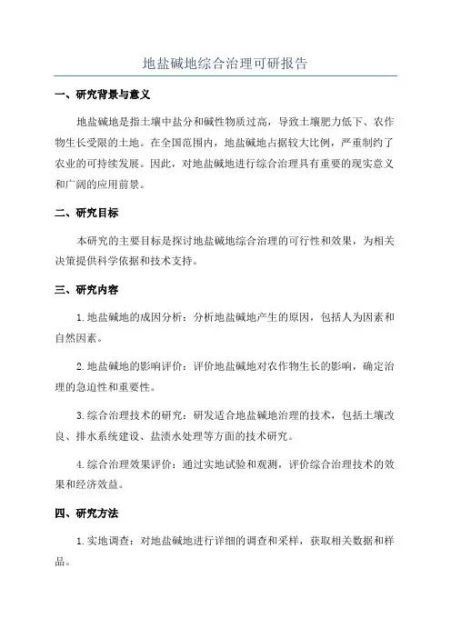 地盐碱地综合治理可研报告