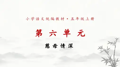 部编版语文五年级上册《慈母情深》教学课件