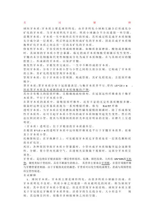 牙体组织