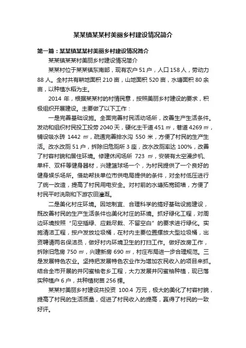 某某镇某某村美丽乡村建设情况简介