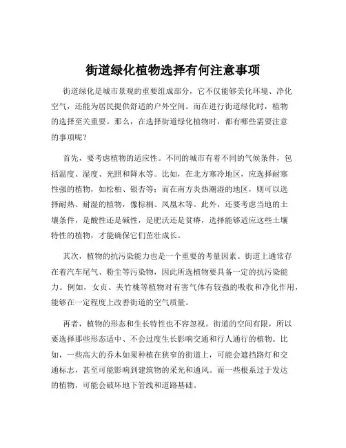 街道绿化植物选择有何注意事项