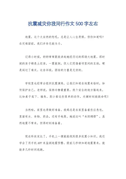 抗震减灾你我同行作文500字左右
