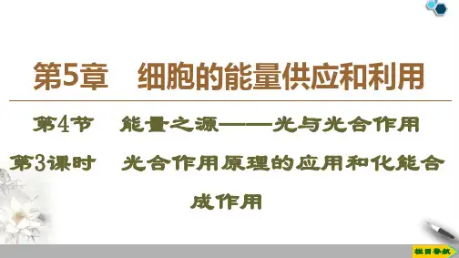 2019-2020人教版生物必修1 第5章 第4节 第3课时 光合作用原理的应用和化能合成作用课件PPT