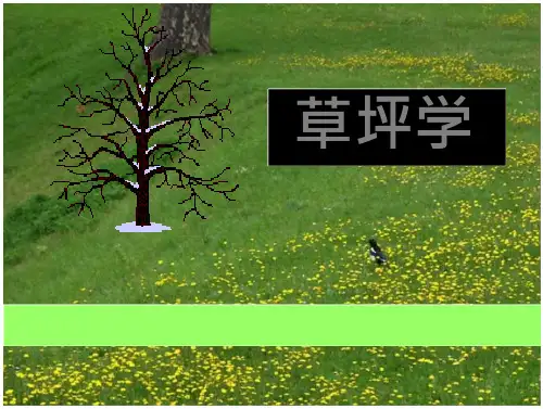2014-09-04草坪学草坪学(4908KB)