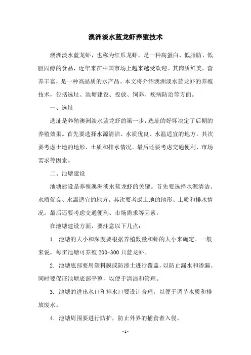 澳洲淡水蓝龙虾养殖技术