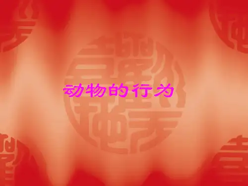 动物的行为PPT课件(初中科学)