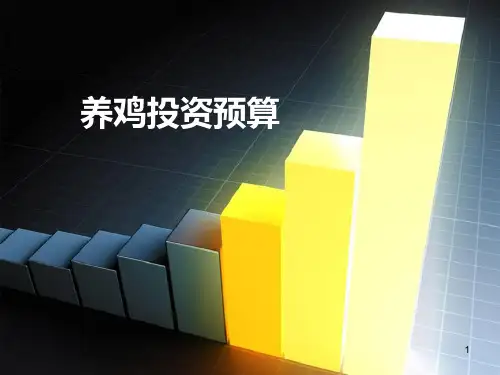 养鸡投资预算ppt课件