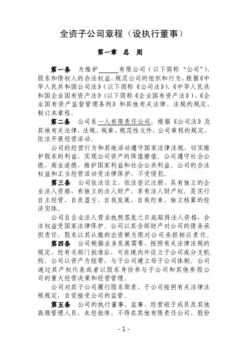 全资子公司章程（设执行董事版本新）
